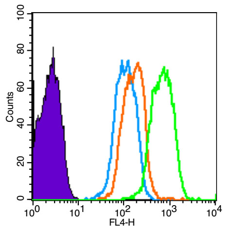 HUVEC cells(black) were fixed with 4% PFA for 10min at room temperature,permeabilized with 90% ice-cold methanol for 20 min at -20℃, and incubated in 5% BSA blocking buffer for 30 min at room temperature. Cells were then stained with JNK1+2+3 Polyclonal Antibody(bs-2592R)at 1:50 dilution in blocking buffer and incubated for 30 min at room temperature, washed twice with 2% BSA in PBS, followed by secondary antibody(blue) incubation for 40 min at room temperature. Acquisitions of 20,000 events were performed. Cells stained with primary antibody (green), and isotype control (orange).