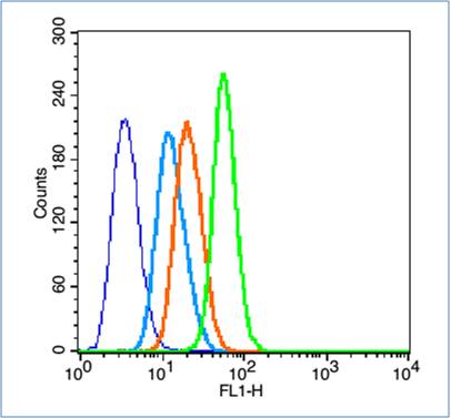 HL-60 cells(black) were fixed with 4% PFA for 10min at room temperature,permeabilized with 0.1% PBST for 20 min at room temperature, and incubated in 5% BSA blocking buffer for 30 min at room temperature. Cells were then stained with Caspase 3 Polyclonal Antibody(bs-2593R)at 1:50 dilution in blocking buffer and incubated for 30 min at room temperature, washed twice with 2% BSA in PBS, followed by secondary antibody(blue) incubation for 40 min at room temperature. Acquisitions of 20,000 events were performed. Cells stained with primary antibody (green), and isotype control (orange).
