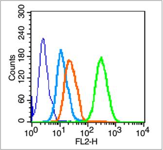 HL-60 cells(black) were incubated in 5% BSA blocking buffer for 30 min at room temperature. Cells were then stained with \r\nIntegrin alpha 2b Antibody\uff08bs-2636R\uff09 at 1:50 dilution in blocking buffer and incubated for 30 min at room temperature, washed twice with 2% BSA  in PBS. Acquisitions of 20,000 events were performed.  Cells stained with primary antibody (green) and isotype control (orange).