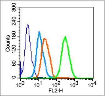 HL-60 cells(black) were incubated in 5% BSA blocking buffer for 30 min at room temperature. Cells were then stained with _x000D_ Integrin alpha 2b Antibody(bs-2636R) at 1:50 dilution in blocking buffer and incubated for 30 min at room temperature, washed twice with 2% BSA in PBS. Acquisitions of 20,000 events were performed. Cells stained with primary antibody (green) and isotype control (orange). HL-60 cells(black) were incubated in 5% BSA blocking buffer for 30 min at room temperature. Cells were then stained with _x000D_ Integrin alpha 2b Antibody(bs-2636R) at 1:50 dilution in blocking buffer and incubated for 30 min at room temperature, washed twice with 2% BSA in PBS. Acquisitions of 20,000 events were performed. Cells stained with primary antibody (green) and isotype control (orange).