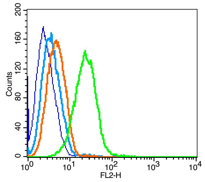 Raji cells(black) were incubated in 5% BSA blocking buffer for 30 min at room temperature. Cells were then stained with _x000D_ CD85c Antibody（bs-2658R） at 1:50 dilution in blocking buffer and incubated for 30 min at room temperature, washed twice with 2% BSA in PBS. Acquisitions of 20,000 events were performed. Cells stained with primary antibody (green) and isotype control (orange).