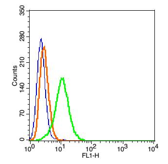 HepG2 cells(black) were fixed with 4% PFA for 10min at room temperature,permeabilized with 0.1% PBST for 20 min at room temperature, and incubated in 5% BSA blocking buffer for 30 min at room temperature. Cells were then stained with Tap1Polyclonal Antibody(bs-2789R)at 1:50 dilution in blocking buffer and incubated for 30 min at room temperature, washed twice with 2% BSA in PBS, followed by secondary antibody(blue) incubation for 40 min at room temperature. Acquisitions of 20,000 events were performed. Cells stained with primary antibody (green), and isotype control (orange). HepG2 cells(black) were fixed with 4% PFA for 10min at room temperature,permeabilized with 0.1% PBST for 20 min at room temperature, and incubated in 5% BSA blocking buffer for 30 min at room temperature. Cells were then stained with Tap1Polyclonal Antibody(bs-2789R)at 1:50 dilution in blocking buffer and incubated for 30 min at room temperature, washed twice with 2% BSA in PBS, followed by secondary antibody(blue) incubation for 40 min at room temperature. Acquisitions of 20,000 events were performed. Cells stained with primary antibody (green), and isotype control (orange).