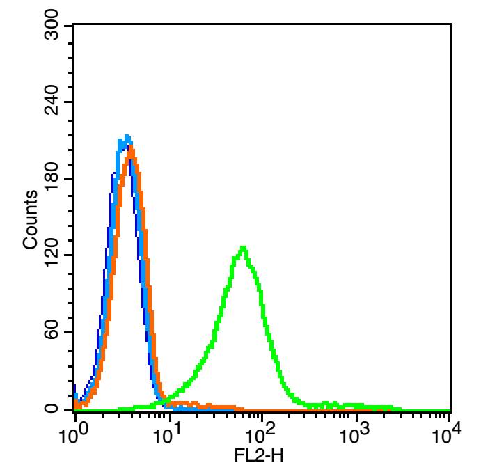 TM4 cells(black) were incubated in 5% BSA blocking buffer for 30 min at room temperature. Cells were then stained with TNF Antibody（bs-2941R） at 1:50 dilution in blocking buffer and incubated for 30 min at room temperature, washed twice with 2% BSA in PBS. Acquisitions of 20,000 events were performed. Cells stained with primary antibody (green) and isotype control (orange).