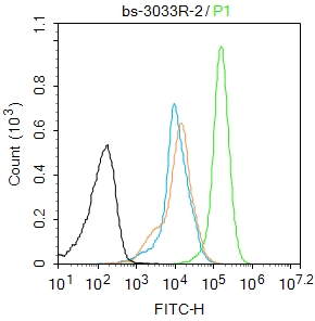 Mouse spleen cells(black) were fixed with 4% PFA for 10min at room temperature,permeabilized with 90% ice-cold methanol for 20 min at -20℃, and incubated in 5% BSA blocking buffer for 30 min at room temperature. Cells were then stained with ATF2 (Thr69/71) Polyclonal Antibody(bs-3033R)at 1:50 dilution in blocking buffer and incubated for 30 min at room temperature, washed twice with 2% BSA in PBS, followed by secondary antibody(blue) incubation for 40 min at room temperature. Acquisitions of 20,000 events were performed. Cells stained with primary antibody (green), and isotype control (orange).