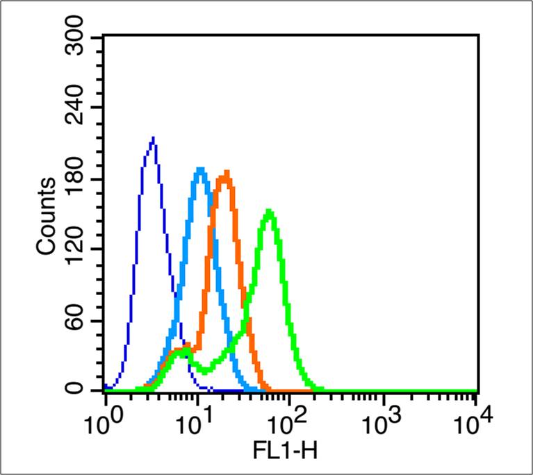 MCF-7 cells(black) were incubated in 5% BSA blocking buffer for 30 min at room temperature. Cells were then stained with CSF1R (Tyr923) Antibody（bs-3079R） at 1:50 dilution in blocking buffer and incubated for 30 min at room temperature, washed twice with 2% BSA in PBS. Acquisitions of 20,000 events were performed. Cells stained with primary antibody (green) and isotype control (orange).