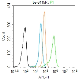 A431 cells(black) were fixed with 4% PFA for 10min at room temperature,permeabilized with 90% ice-cold methanol for 20 min at -20℃, and incubated in 5% BSA blocking buffer for 30 min at room temperature. Cells were then stained with SGK1 (Ser422) Polyclonal Antibody(bs-3415R)at 1:50 dilution in blocking buffer and incubated for 30 min at room temperature, washed twice with 2% BSA in PBS, followed by secondary antibody(blue) incubation for 40 min at room temperature. Acquisitions of 20,000 events were performed. Cells stained with primary antibody (green), and isotype control (orange).