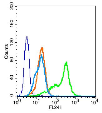 HUVEC cells(black) were fixed with 4% PFA for 10min at room temperature,permeabilized with 0.1% PBST for 20 min at room temperature, and incubated in 5% BSA blocking buffer for 30 min at room temperature. Cells were then stained with SH2D2A Polyclonal Antibody(bs-3858R)at 1:50 dilution in blocking buffer and incubated for 30 min at room temperature, washed twice with 2% BSA in PBS, followed by secondary antibody(blue) incubation for 40 min at room temperature. Acquisitions of 20,000 events were performed. Cells stained with primary antibody (green), and isotype control (orange).