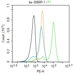 U-937 cells(black) were fixed with 4% PFA for 10min at room temperature,permeabilized with 90% ice-cold methanol for 20 min at -20℃, and incubated in 5% BSA blocking buffer for 30 min at room temperature. Cells were then stained with NCF1/p47 phox Polyclonal Antibody(bs-3886R)at 1:100 dilution in blocking buffer and incubated for 30 min at room temperature, washed twice with 2% BSA in PBS, followed by secondary antibody(blue) incubation for 40 min at room temperature. Acquisitions of 20,000 events were performed. Cells stained with primary antibody (green), and isotype control (orange).