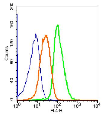 HepG2 cells(black) were fixed with 4% PFA for 10min at room temperature,permeabilized with 0.1% PBST for 20 min at room temperature, and incubated in 5% BSA blocking buffer for 30 min at room temperature. Cells were then stained with MAP4K1 Polyclonal Antibody(bs-4134R)at 1:50 dilution in blocking buffer and incubated for 30 min at room temperature, washed twice with 2% BSA in PBS, followed by secondary antibody(blue) incubation for 40 min at room temperature. Acquisitions of 20,000 events were performed. Cells stained with primary antibody (green), and isotype control (orange).