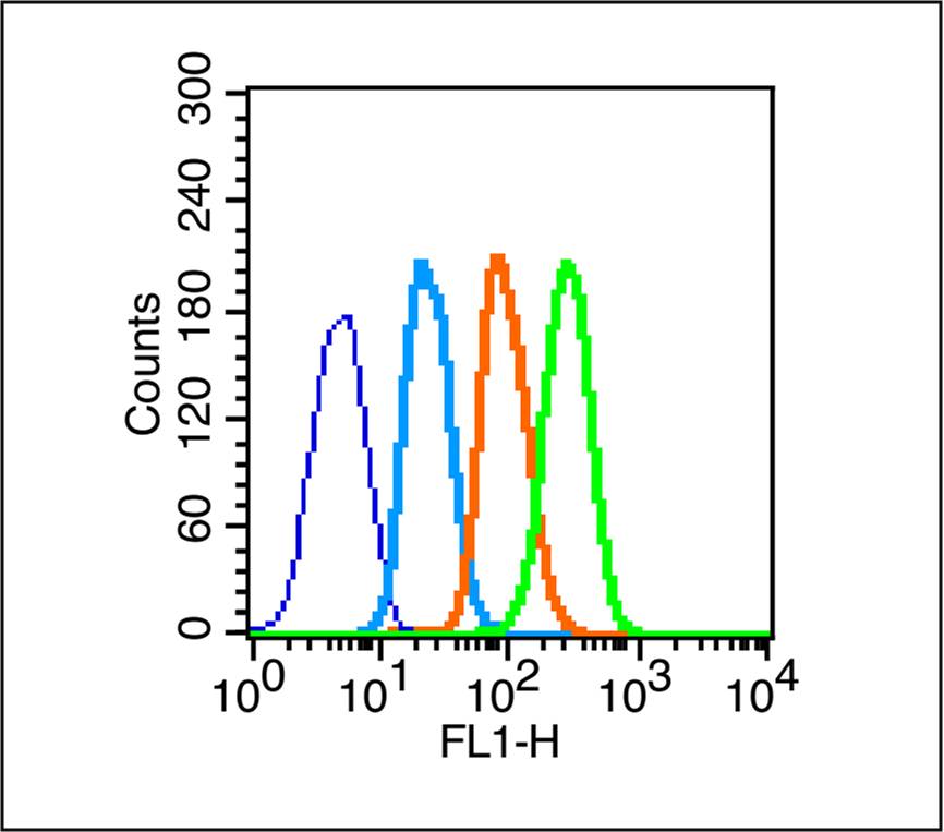 U-251 cells(black) were fixed with 4% PFA for 10min at room temperature,permeabilized with 90% ice-cold methanol for 20 min at -20℃, and incubated in 5% BSA blocking buffer for 30 min at room temperature. Cells were then stained with SOX9 Polyclonal Antibody(bs-4177R)at 1:50 dilution in blocking buffer and incubated for 30 min at room temperature, washed twice with 2% BSA in PBS, followed by secondary antibody(blue) incubation for 40 min at room temperature. Acquisitions of 20,000 events were performed. Cells stained with primary antibody (green), and isotype control (orange).