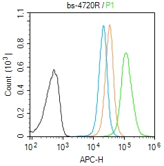 Molt-4 cells(black) were fixed with 4% PFA for 10min at room temperature,permeabilized with 0.1% PBST for 20 min at room temperature, and incubated in 5% BSA blocking buffer for 30 min at room temperature. Cells were then stained with GDF9 Polyclonal Antibody(bs-4720R)at 1:50 dilution in blocking buffer and incubated for 30 min at room temperature, washed twice with 2% BSA in PBS, followed by secondary antibody(blue) incubation for 40 min at room temperature. Acquisitions of 20,000 events were performed. Cells stained with primary antibody (green), and isotype control (orange).