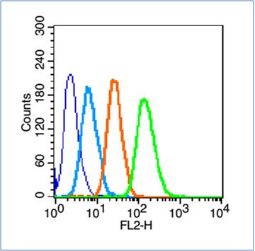 HepG2 cells(black) were incubated in 5% BSA blocking buffer for 30 min at room temperature. Cells were then stained with MRC1 Antibody(bs-4727R) at 1:50 dilution in blocking buffer and incubated for 30 min at room temperature, washed twice with 2% BSA in PBS. Acquisitions of 20,000 events were performed. Cells stained with primary antibody (green) and isotype control (orange). HepG2 cells(black) were incubated in 5% BSA blocking buffer for 30 min at room temperature. Cells were then stained with MRC1 Antibody(bs-4727R) at 1:50 dilution in blocking buffer and incubated for 30 min at room temperature, washed twice with 2% BSA in PBS. Acquisitions of 20,000 events were performed. Cells stained with primary antibody (green) and isotype control (orange).