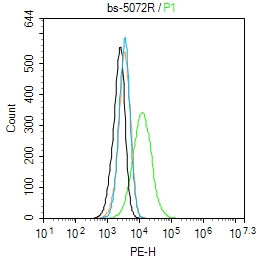 Heparan Sulfate Proteoglycan 2 Antibody – Bioss