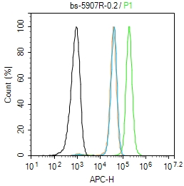 Hela cells(black) were fixed with 4% PFA for 10min at room temperature,permeabilized with 90% ice-cold methanol for 20 min at -20℃, and incubated in 5% BSA blocking buffer for 30 min at room temperature. Cells were then stained with _x000D_ Ferritin heavy chain Polyclonal Antibody(bs-5907R)at 1:50 dilution in blocking buffer and incubated for 30 min at room temperature, washed twice with 2% BSA in PBS, followed by secondary antibody(blue) incubation for 40 min at room temperature. Acquisitions of 20,000 events were performed. Cells stained with primary antibody (green), and isotype control (orange).