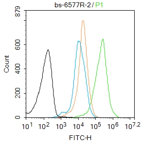Mouse spleen cells(black) were fixed with 4% PFA for 10min at room temperature,permeabilized with 90% ice-cold methanol for 20 min at -20℃, and incubated in 5% BSA blocking buffer for 30 min at room temperature. Cells were then stained with S100P binding protein Polyclonal Antibody(bs-6577R)at 1:50 dilution in blocking buffer and incubated for 30 min at room temperature, washed twice with 2% BSA in PBS, followed by secondary antibody(blue) incubation for 40 min at room temperature. Acquisitions of 20,000 events were performed. Cells stained with primary antibody (green), and isotype control (orange). Mouse spleen cells(black) were fixed with 4% PFA for 10min at room temperature,permeabilized with 90% ice-cold methanol for 20 min at -20℃, and incubated in 5% BSA blocking buffer for 30 min at room temperature. Cells were then stained with S100P binding protein Polyclonal Antibody(bs-6577R)at 1:50 dilution in blocking buffer and incubated for 30 min at room temperature, washed twice with 2% BSA in PBS, followed by secondary antibody(blue) incubation for 40 min at room temperature. Acquisitions of 20,000 events were performed. Cells stained with primary antibody (green), and isotype control (orange).