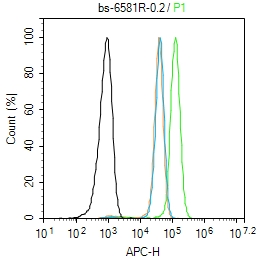 Hela cells(black) were fixed with 4% PFA for 10min at room temperature,permeabilized with 90% ice-cold methanol for 20 min at -20℃, and incubated in 5% BSA blocking buffer for 30 min at room temperature. Cells were then stained with RNA polymerase 2 CTD repeat YSPTSPS (Ser2) Polyclonal Antibody(bs-6581)at 1:50 dilution in blocking buffer and incubated for 30 min at room temperature, washed twice with 2% BSA in PBS, followed by secondary antibody(blue) incubation for 40 min at room temperature. Acquisitions of 20,000 events were performed. Cells stained with primary antibody (green), and isotype control (orange). Hela cells(black) were fixed with 4% PFA for 10min at room temperature,permeabilized with 90% ice-cold methanol for 20 min at -20℃, and incubated in 5% BSA blocking buffer for 30 min at room temperature. Cells were then stained with RNA polymerase 2 CTD repeat YSPTSPS (Ser2) Polyclonal Antibody(bs-6581)at 1:50 dilution in blocking buffer and incubated for 30 min at room temperature, washed twice with 2% BSA in PBS, followed by secondary antibody(blue) incubation for 40 min at room temperature. Acquisitions of 20,000 events were performed. Cells stained with primary antibody (green), and isotype control (orange).