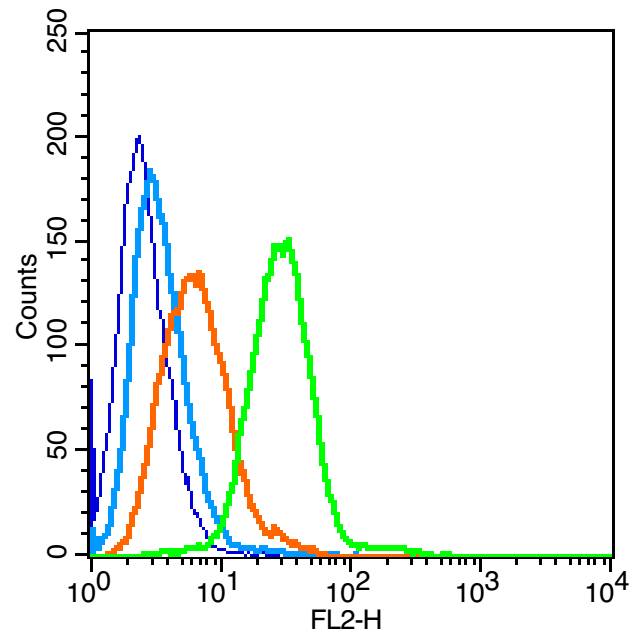 Raji cells(black) were fixed with 4% PFA for 10min at room temperature,permeabilized with 0.1% PBST for 20 min at room temperature, and incubated in 5% BSA blocking buffer for 30 min at room temperature. Cells were then stained with IGF2R Polyclonal Antibody(bs-6670R)at 1:50 dilution in blocking buffer and incubated for 30 min at room temperature, washed twice with 2% BSA in PBS, followed by secondary antibody(blue) incubation for 40 min at room temperature. Acquisitions of 20,000 events were performed. Cells stained with primary antibody (green), and isotype control (orange).