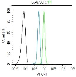 A431 cells(black) were fixed with 4% PFA for 10min at room temperature,permeabilized with 0.1% PBST for 20 min at room temperature, and incubated in 5% BSA blocking buffer for 30 min at room temperature. Cells were then stained with RAB7 Polyclonal Antibody(bs-6703R)at 1:50 dilution in blocking buffer and incubated for 30 min at room temperature, washed twice with 2% BSA in PBS, followed by secondary antibody(blue) incubation for 40 min at room temperature. Acquisitions of 20,000 events were performed. Cells stained with primary antibody (green), and isotype control (orange).