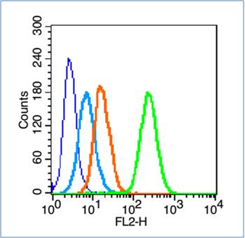 HL-60 cells(black) were fixed with 4% PFA for 10min at room temperature,permeabilized with 0.1% PBST  for 20 min at room temperature, and incubated in 5% BSA blocking buffer for 30 min at room temperature. Cells were then stained with 14-3-3 zeta \/ delta Polyclonal Antibody(bs-6790R)at 1:50 dilution in blocking buffer and incubated for 30 min at room temperature, washed twice with 2% BSA in PBS, followed by secondary antibody(blue) incubation for 40 min at room temperature. Acquisitions of 20,000 events were performed. Cells stained with primary antibody (green), and isotype control (orange).