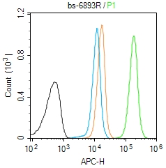 Molt-4 cells(black) were fixed with 4% PFA for 10min at room temperature,permeabilized with 90% ice-cold methanol for 20 min at -20℃, and incubated in 5% BSA blocking buffer for 30 min at room temperature. Cells were then stained with KLLN Polyclonal Antibody(bs-6893R)at 1:50 dilution in blocking buffer and incubated for 30 min at room temperature, washed twice with 2% BSA in PBS, followed by secondary antibody(blue) incubation for 40 min at room temperature. Acquisitions of 20,000 events were performed. Cells stained with primary antibody (green), and isotype control (orange).