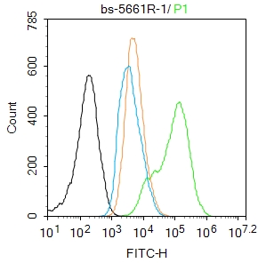 U-937 cells were fixed with 4% PFA for 10min at room temperature,permeabilized with 90% ice-cold methanol for 20 min at -20℃, and incubated in 5% BSA blocking buffer for 30 min at room temperature. Cells were then stained with phospho-NFKB p65 (Thr435) Antibody(bs-5661R)at 1:100 dilution in blocking buffer and incubated for 30 min at room temperature, washed twice with 2%BSA in PBS, followed by secondary antibody incubation for 40 min at room temperature. Acquisitions of 20,000 events were performed. Cells stained with primary antibody (green), and isotype control (orange).