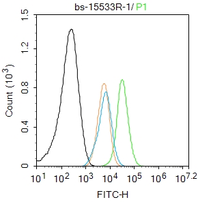 HL-60 cells were fixed with 4% PFA for 10min at room temperature,permeabilized with 0.1% PBST for 20 min at room temperature, and incubated in 5% BSA blocking buffer for 30 min at room temperature. Cells were then stained with Bcl-2 Polyclonal Antibody(bs-15533R)at 1:100 dilution in blocking buffer and incubated for 30 min at room temperature, washed twice with 2%BSA in PBS, followed by secondary antibody incubation for 40 min at room temperature. Acquisitions of 20,000 events were performed. Cells stained with primary antibody (green), and isotype control (orange).