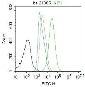 HL-60 cells were fixed with 4% PFA for 10min at room temperature,permeabilized with 90% ice-cold methanol for 20 min at -20\u2103, and incubated in 5% BSA blocking buffer for 30 min at room temperature. Cells were then stained with Ki-67 Polyclonal Antibody(bs-2130R)at 1:100 dilution in blocking buffer and incubated for 30 min at room temperature, washed twice with 2%BSA in PBS, followed by secondary antibody incubation for 40 min at room temperature. Acquisitions of 20,000 events were performed. Cells stained with primary antibody (green), and isotype control (orange).
