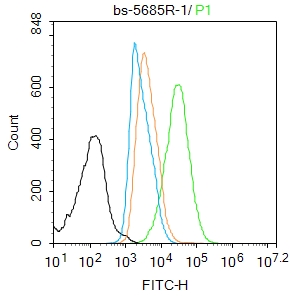 HL-60 cells were fixed with 4% PFA for 10min at room temperature,permeabilized with 90% ice-cold methanol for 20 min at -20℃, and incubated in 5% BSA blocking buffer for 30 min at room temperature. Cells were then stained with phospho-RUNX2 (Ser451) Polyclonal Antibody(bs-5685R)at 1:100 dilution in blocking buffer and incubated for 30 min at room temperature, washed twice with 2%BSA in PBS, followed by secondary antibody incubation for 40 min at room temperature. Acquisitions of 20,000 events were performed. Cells stained with primary antibody (green), and isotype control (orange).
