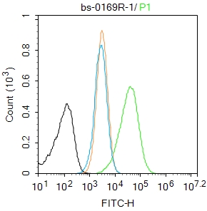 Hl-60 cells were fixed with 4% PFA for 10min at room temperature,permeabilized with 0.1% PBST for 20 min at room temperature, and incubated in 5% BSA blocking buffer for 30 min at room temperature. Cells were then stained with Caspase-1 P10 Polyclonal Antibody(bs-0169R)at 1:50 dilution in blocking buffer and incubated for 30 min at room temperature, washed twice with 2%BSA in PBS, followed by secondary antibody incubation for 40 min at room temperature. Acquisitions of 20,000 events were performed. Cells stained with primary antibody (green), and isotype control (orange).