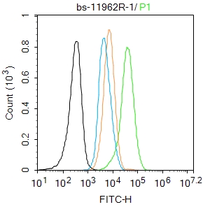 HepG2 cells were fixed with 4% PFA for 10min at room temperature,permeabilized with 90% ice-cold methanol for 20 min at -20℃, and incubated in 5% BSA blocking buffer for 30 min at room temperature. Cells were then stained with SNAIL + SLUG(Ser246) Polyclonal Antibody(bs-11962R)at 1:100 dilution in blocking buffer and incubated for 30 min at room temperature, washed twice with 2%BSA in PBS, followed by secondary antibody incubation for 40 min at room temperature. Acquisitions of 20,000 events were performed. Cells stained with primary antibody (green), and isotype control (orange).