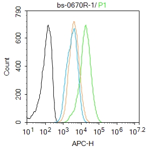 Hela cells were fixed with 4% PFA for 10min at room temperature,permeabilized with 90% ice-cold methanol for 20 min at -20℃ and incubated in 5% BSA blocking buffer for 30 min at room temperature. Cells were then stained with C-jun Polyclonal Antibody(bs-0670R)at 1:100 dilution in blocking buffer and incubated for 30 min at room temperature, washed twice with 2%BSA in PBS, followed by secondary antibody incubation for 40 min at room temperature. Acquisitions of 20,000 events were performed. Cells stained with primary antibody (green), and isotype control (orange).