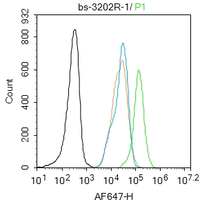 HepG2 cells were fixed with 4% PFA for 10min at room temperature,permeabilized with 90% ice-cold methanol for 20 min at -20℃, and incubated in 5% BSA blocking buffer for 30 min at room temperature. Cells were then stained with IRS1(Ser789) Polyclonal Antibody(bs-3197R)at 1:50 dilution in blocking buffer and incubated for 30 min at room temperature, washed twice with 2%BSA in PBS, followed by secondary antibody incubation for 40 min at room temperature. Acquisitions of 20,000 events were performed. Cells stained with primary antibody (green), and isotype control (orange).