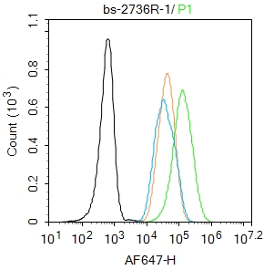 HepG2 cells were fixed with 4% PFA for 10min at room temperature,permeabilized with 90% ice-cold methanol for 20 min at -20℃, and incubated in 5% BSA blocking buffer for 30 min at room temperature. Cells were then stained with IRS-1(Ser307) Polyclonal Antibody(bs-2736R)at 1:50 dilution in blocking buffer and incubated for 30 min at room temperature, washed twice with 2%BSA in PBS, followed by secondary antibody incubation for 40 min at room temperature. Acquisitions of 20,000 events were performed. Cells stained with primary antibody (green), and isotype control (orange).