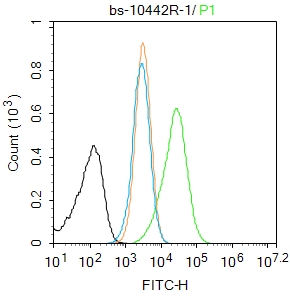 HL-60 cells were fixed with 4% PFA for 10min at room temperature,permeabilized with 0.1% PBST for 20 min at room temperature, and incubated in 5% BSA blocking buffer for 30 min at room temperature. Cells were then stained with Caspase-1 p20 Polyclonal Antibody(bs-10442R)at 1:100 dilution in blocking buffer and incubated for 30 min at room temperature, washed twice with 2%BSA in PBS, followed by secondary antibody incubation for 40 min at room temperature. Acquisitions of 20,000 events were performed. Cells stained with primary antibody (green), and isotype control (orange).