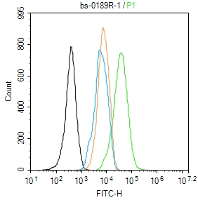 NIH/3T3 cells were fixed with 4% PFA for 10min at room temperature,permeabilized with 90% ice-cold methanol for 20 min at -20℃, and incubated in 5% BSA blocking buffer for 30 min at room temperature. Cells were then stained with alpha Actin Polyclonal Antibody(bs-0189R)at 1:100 dilution in blocking buffer and incubated for 30 min at room temperature, washed twice with 2%BSA in PBS, followed by secondary antibody incubation for 40 min at room temperature. Acquisitions of 20,000 events were performed. Cells stained with primary antibody (green), and isotype control (orange).