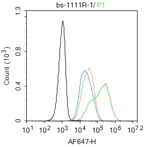 Hela cells were fixed with 4% PFA for 10min at room temperature,permeabilized with 90% ice-cold methanol for 20 min at -20℃, and incubated in 5% BSA blocking buffer for 30 min at room temperature. Cells were then stained with Oct-4 Polyclonal Antibody(bs-1111R)at 1:100 dilution in blocking buffer and incubated for 30 min at room temperature, washed twice with 2%BSA in PBS, followed by secondary antibody incubation for 40 min at room temperature. Acquisitions of 20,000 events were performed. Cells stained with primary antibody (green), and isotype control (orange). Hela cells were fixed with 4% PFA for 10min at room temperature,permeabilized with 90% ice-cold methanol for 20 min at -20℃, and incubated in 5% BSA blocking buffer for 30 min at room temperature. Cells were then stained with Oct-4 Polyclonal Antibody(bs-1111R)at 1:100 dilution in blocking buffer and incubated for 30 min at room temperature, washed twice with 2%BSA in PBS, followed by secondary antibody incubation for 40 min at room temperature. Acquisitions of 20,000 events were performed. Cells stained with primary antibody (green), and isotype control (orange).