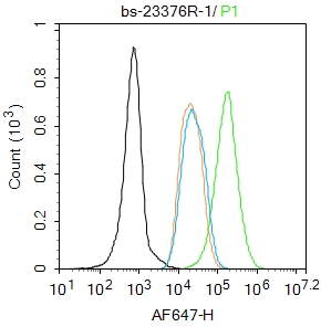 MCF-7 cells were fixed with 4% PFA for 10min at room temperature,permeabilized with 90% ice-cold methanol for 20 min at -20℃, and incubated in 5% BSA blocking buffer for 30 min at room temperature. Cells were then stained with Progesterone Receptor Polyclonal Antibody(bs-23376R)at 1:100 dilution in blocking buffer and incubated for 30 min at room temperature, washed twice with 2%BSA in PBS, followed by secondary antibody incubation for 40 min at room temperature. Acquisitions of 20,000 events were performed. Cells stained with primary antibody (green), and isotype control (orange).