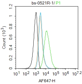 Hela cells were incubated in 5% BSA blocking buffer for 30 min at room temperature. Cells were then stained with CD44 Polyclonal Antibody(bs-0521R)at 1:100 dilution in blocking buffer and incubated for 30 min at room temperature, washed twice with 2%BSA in PBS, followed by secondary antibody incubation for 40 min at room temperature. Acquisitions of 20,000 events were performed. Cells stained with primary antibody (green), and isotype control (orange).