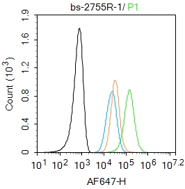 Raw264.7 cells were incubated in 5% BSA blocking buffer for 30 min at room temperature. Cells were then stained with CD115/MCSF Receptor Polyclonal Antibody(bs-2755R)at 1:100 dilution in blocking buffer and incubated for 30 min at room temperature, washed twice with 2%BSA in PBS, followed by secondary antibody incubation for 40 min at room temperature. Acquisitions of 20,000 events were performed. Cells stained with primary antibody (green), and isotype control (orange).