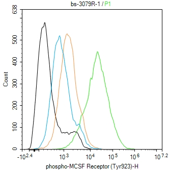 Raw264.7 cells were incubated in 5% BSA blocking buffer for 30 min at room temperature. Cells were then stained with phospho-MCSF Receptor (Tyr923) Polyclonal Antibody(bs-3079R)at 1:100 dilution in blocking buffer and incubated for 30 min at room temperature, washed twice with 2%BSA in PBS, followed by secondary antibody incubation for 40 min at room temperature. Acquisitions of 20,000 events were performed. Cells stained with primary antibody (green), and isotype control (orange).