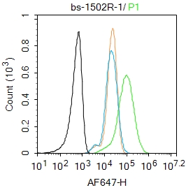 Raw264.7 cells were fixed with 4% PFA for 10min at room temperature,permeabilized with 0.1% PBST for 20 min at room temperature, and incubated in 5% BSA blocking buffer for 30 min at room temperature. Cells were then stained with CXCL10 Polyclonal Antibody(bs-1502R)at 1:100 dilution in blocking buffer and incubated for 30 min at room temperature, washed twice with 2%BSA in PBS, followed by secondary antibody incubation for 40 min at room temperature. Acquisitions of 20,000 events were performed. Cells stained with primary antibody (green), and isotype control (orange).
