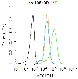 Raw264.7 cells were fixed with 4% PFA for 10min at room temperature,permeabilized with 0.1% PBST for 20 min at room temperature, and incubated in 5% BSA blocking buffer for 30 min at room temperature. Cells were then stained with IL-1 Alpha Propeptide Polyclonal Antibody(bs-10540R)at 1:100 dilution in blocking buffer and incubated for 30 min at room temperature, washed twice with 2%BSA in PBS, followed by secondary antibody incubation for 40 min at room temperature. Acquisitions of 20,000 events were performed. Cells stained with primary antibody (green), and isotype control (orange).