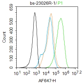 Raw264.7 cells were incubated in 5% BSA blocking buffer for 30 min at room temperature. Cells were then stained with CCR-2 Polyclonal Antibody(bs-23026R)at 1:100 dilution in blocking buffer and incubated for 30 min at room temperature, washed twice with 2%BSA in PBS, followed by secondary antibody incubation for 40 min at room temperature. Acquisitions of 20,000 events were performed. Cells stained with primary antibody (green), and isotype control (orange).
