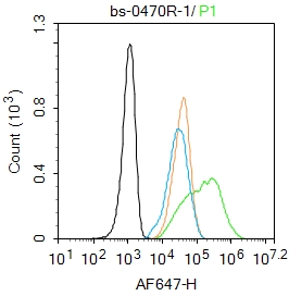 Hela cells were fixed with 4% PFA for 10min at room temperature,permeabilized with 0.1% PBST for 20 min at room temperature, and incubated in 5% BSA blocking buffer for 30 min at room temperature. Cells were then stained with Osteocalcin Polyclonal Antibody(bs-0470R)at 1:100 dilution in blocking buffer and incubated for 30 min at room temperature, washed twice with 2%BSA in PBS, followed by secondary antibody incubation for 40 min at room temperature. Acquisitions of 20,000 events were performed. Cells stained with primary antibody (green), and isotype control (orange).
