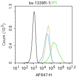 Hela cells were fixed with 4% PFA for 10min at room temperature,permeabilized with 0.1% PBST for 20 min at room temperature, and incubated in 5% BSA blocking buffer for 30 min at room temperature. Cells were then stained with CK18 Polyclonal Antibody(bs-1339R)at 1:100 dilution in blocking buffer and incubated for 30 min at room temperature, washed twice with 2%BSA in PBS, followed by secondary antibody incubation for 40 min at room temperature. Acquisitions of 20,000 events were performed. Cells stained with primary antibody (green), and isotype control (orange).