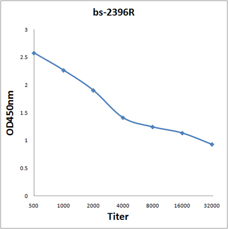 Antigen: bs-2396P, 0.2ug/100ul \nPrimary: Antiserum, 1:500, 1:1000, 1:2000, 1:4000, 1:8000, 1:16000, 1:32000; \nSecondary: HRP conjugated Goat-Anti-Rabbit IgG(bs-0295G-HRP) at 1: 5000;\nTMB staining;\nRead the data in MicroplateReader by 450