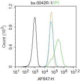 SHSY5Y cells were fixed with 4% PFA for 10min at room temperature,permeabilized with 90% ice-cold methanol for 20 min at -20℃, and incubated in 5% BSA blocking buffer for 30 min at room temperature. Cells were then stained with ChAT Polyclonal Antibody(bs-0042R)at 1:100 dilution in blocking buffer and incubated for 30 min at room temperature, washed twice with 2%BSA in PBS, followed by secondary antibody incubation for 40 min at room temperature. Acquisitions of 20,000 events were performed. Cells stained with primary antibody (green), and isotype control (orange).