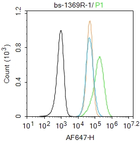 SHSY5Y cells were fixed with 4% PFA for 10min at room temperature,permeabilized with 90% ice-cold methanol for 20 min at -20\u2103, and incubated in 5% BSA blocking buffer for 30 min at room temperature. Cells were then stained with MAP2 Antibody(1369R)at 1:100 dilution in blocking buffer and incubated for 30 min at room temperature, washed twice with 2%BSA in PBS, followed by secondary antibody incubation for 40 min at room temperature. Acquisitions of 20,000 events were performed. Cells stained with primary antibody (green), and isotype control (orange).