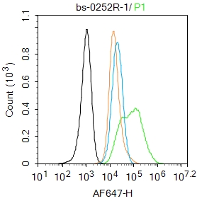 A549 cells were fixed with 4% PFA for 10min at room temperature,permeabilized with 0.1% PBST for 20 min at room temperature, and incubated in 5% BSA blocking buffer for 30 min at room temperature. Cells were then stained with Glucocorticoid receptor Antibody(bs-0252R)at 1:100 dilution in blocking buffer and incubated for 30 min at room temperature, washed twice with 2%BSA in PBS, followed by secondary antibody incubation for 40 min at room temperature. Acquisitions of 20,000 events were performed. Cells stained with primary antibody (green), and isotype control (orange). A549 cells were fixed with 4% PFA for 10min at room temperature,permeabilized with 0.1% PBST for 20 min at room temperature, and incubated in 5% BSA blocking buffer for 30 min at room temperature. Cells were then stained with Glucocorticoid receptor Antibody(bs-0252R)at 1:100 dilution in blocking buffer and incubated for 30 min at room temperature, washed twice with 2%BSA in PBS, followed by secondary antibody incubation for 40 min at room temperature. Acquisitions of 20,000 events were performed. Cells stained with primary antibody (green), and isotype control (orange).