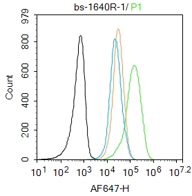 Jurkat cells were fixed with 4% PFA for 10min at room temperature,permeabilized with 90% ice-cold methanol for 20 min at -20\u2103, and incubated in 5% BSA blocking buffer for 30 min at room temperature. Cells were then stained with JNK1+2+3 (T183+Y185) Antibody(bs-1640R)at 1:50 dilution in blocking buffer and incubated for 30 min at room temperature, washed twice with 2%BSA in PBS, followed by secondary antibody incubation for 40 min at room temperature. Acquisitions of 20,000 events were performed. Cells stained with primary antibody (green), and isotype control (orange).
